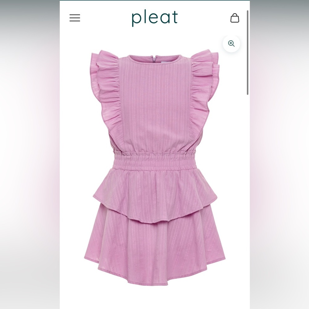 NWT Pleat Collection Gigi Dress
